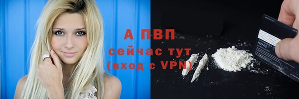 шишки Волоколамск