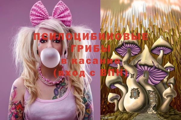 эйфоретик Верхний Тагил