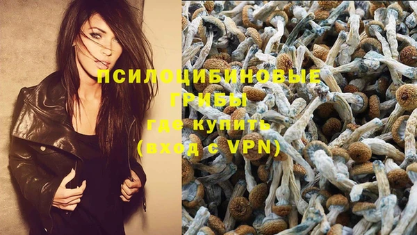 ALPHA PVP Верхнеуральск