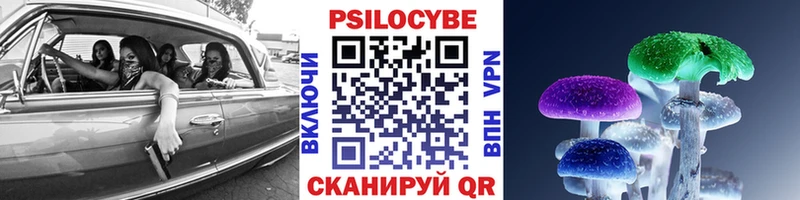 Псилоцибиновые грибы GOLDEN TEACHER  Высоковск 