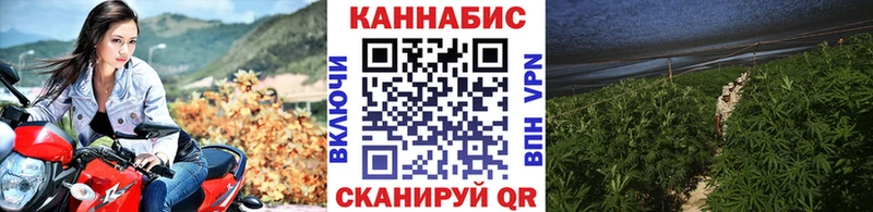 закладка Высоковск Шишки марихуана гибрид